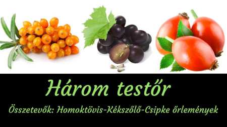 Három testőr 
